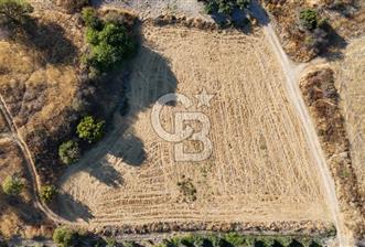 ALİAĞA ÇALTILIDERE'DE (4540 M2) SATILIK TARLA