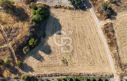 ALİAĞA ÇALTILIDERE'DE (4540 M2) SATILIK TARLA