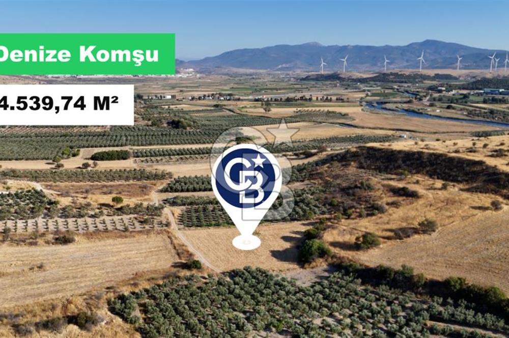 ALİAĞA ÇALTILIDERE'DE (4540 M2) SATILIK TARLA