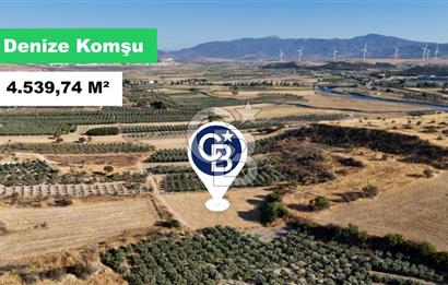 ALİAĞA ÇALTILIDERE'DE (4540 M2) SATILIK TARLA