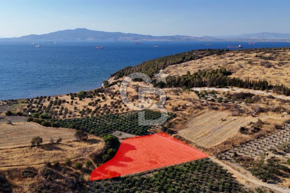 ALİAĞA ÇALTILIDERE'DE (4540 M2) SATILIK TARLA