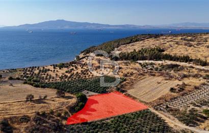 ALİAĞA ÇALTILIDERE'DE (4540 M2) SATILIK TARLA