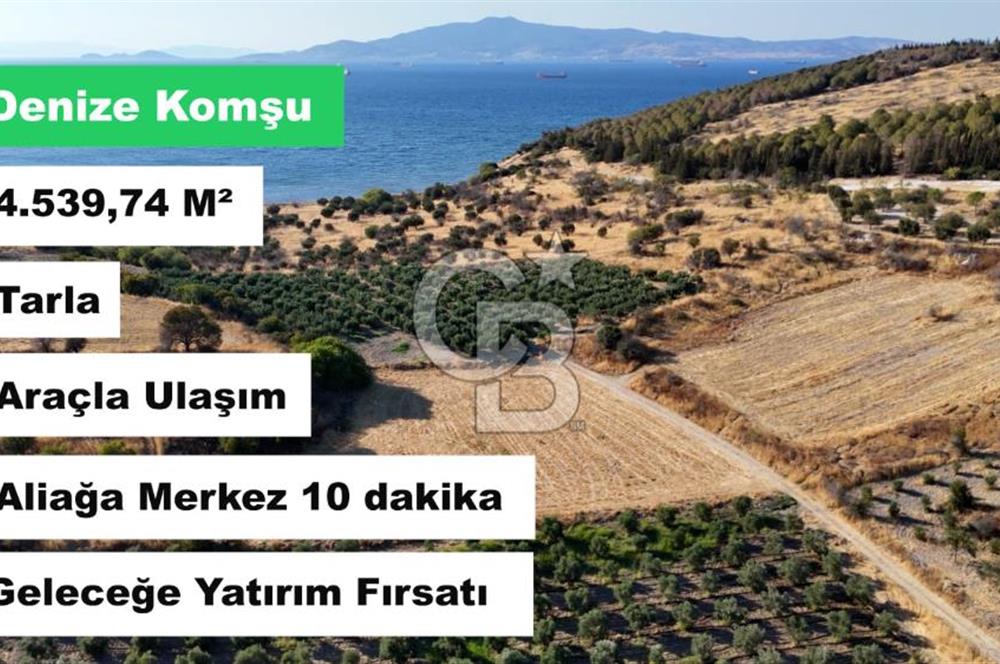 ALİAĞA ÇALTILIDERE'DE (4540 M2) SATILIK TARLA