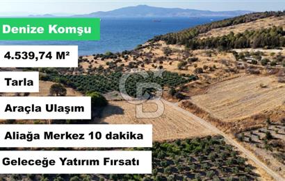 ALİAĞA ÇALTILIDERE'DE (4540 M2) SATILIK TARLA