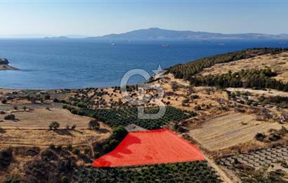 ALİAĞA ÇALTILIDERE'DE (4540 M2) SATILIK TARLA