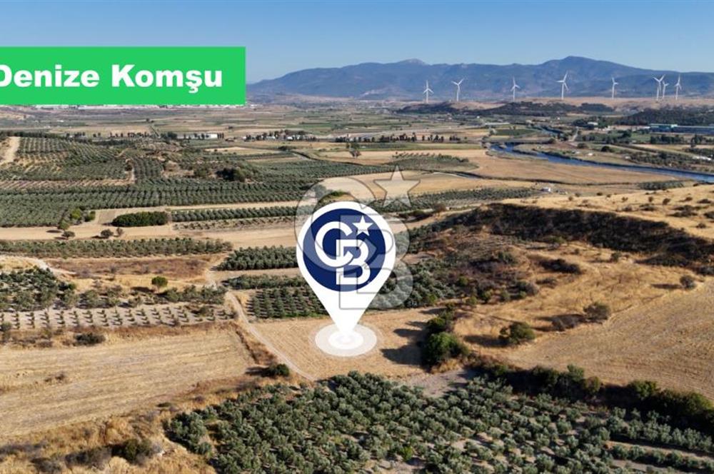 ALİAĞA ÇALTILIDERE'DE (4540 M2) SATILIK TARLA