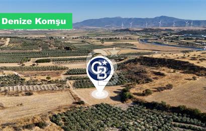 ALİAĞA ÇALTILIDERE'DE (4540 M2) SATILIK TARLA