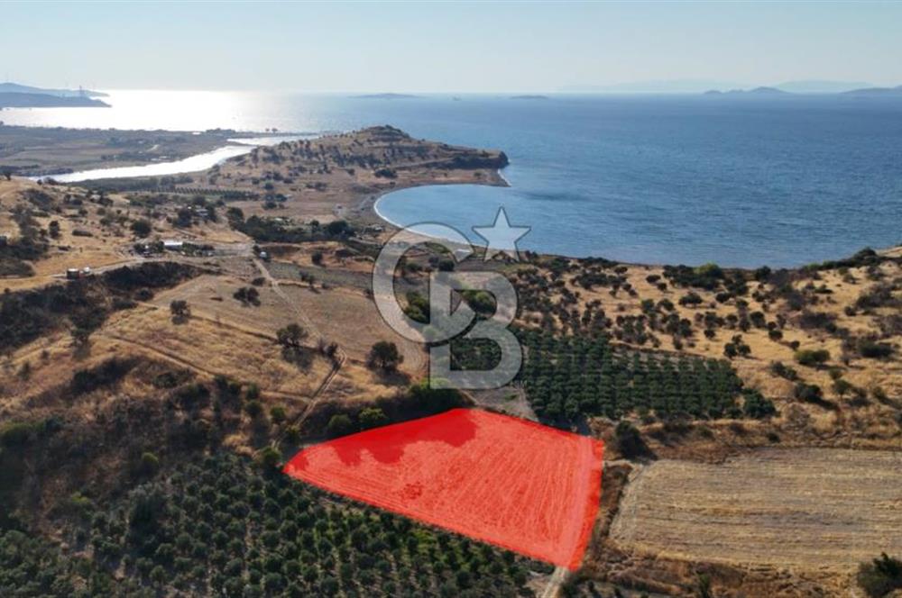 ALİAĞA ÇALTILIDERE'DE (4540 M2) SATILIK TARLA