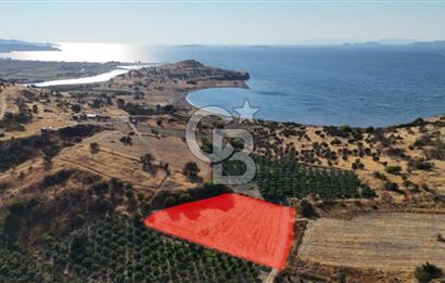 ALİAĞA ÇALTILIDERE'DE (4540 M2) SATILIK TARLA