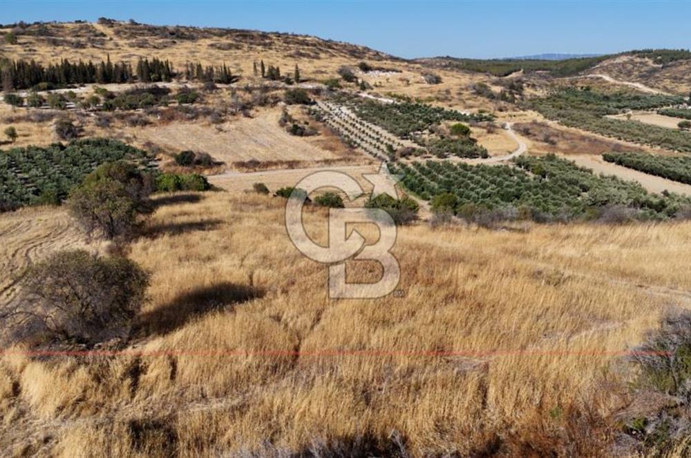 ALİAĞA ÇALTILIDERE'DE (4540 M2) SATILIK TARLA