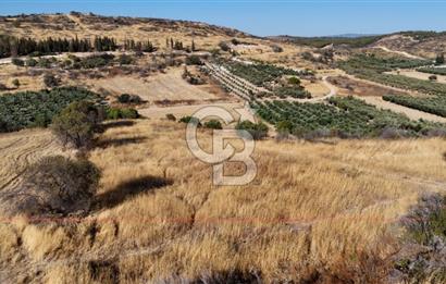 ALİAĞA ÇALTILIDERE'DE (4540 M2) SATILIK TARLA