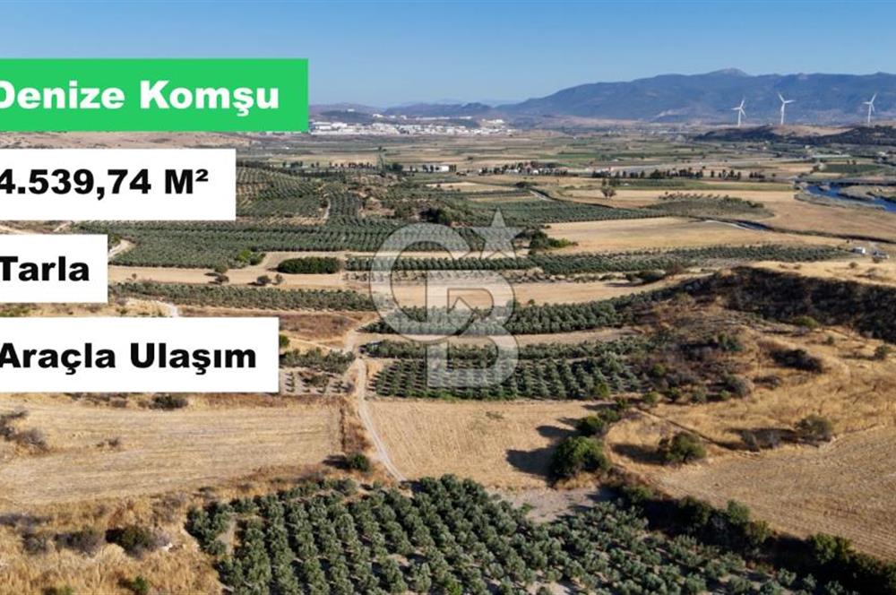 ALİAĞA ÇALTILIDERE'DE (4540 M2) SATILIK TARLA
