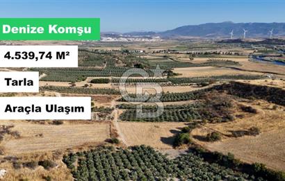 ALİAĞA ÇALTILIDERE'DE (4540 M2) SATILIK TARLA