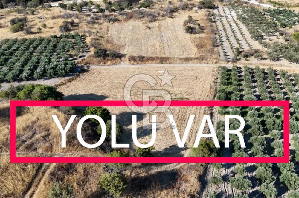 ALİAĞA ÇALTILIDERE'DE (4540 M2) SATILIK TARLA