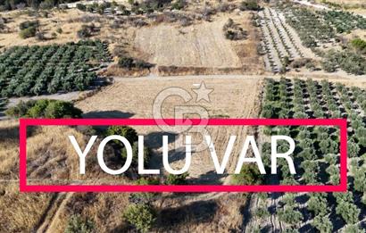 ALİAĞA ÇALTILIDERE'DE (4540 M2) SATILIK TARLA