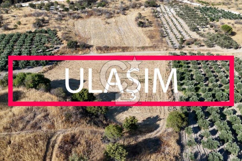 ALİAĞA ÇALTILIDERE'DE (4540 M2) SATILIK TARLA