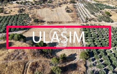 ALİAĞA ÇALTILIDERE'DE (4540 M2) SATILIK TARLA