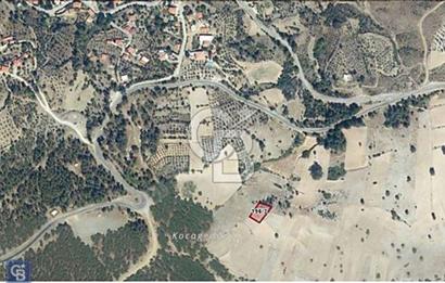 Muğla Menteşe Çatakbağyaka da uygun fiyatlı müstakil tapu 804 m2