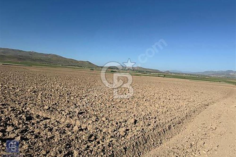 Tuşba Molla Kasım Mahallesinde 100.327 m2 Satılık Tarla !!
