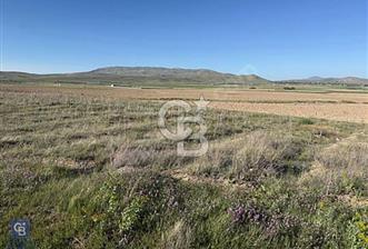Tuşba Molla Kasım Mahallesinde 100.327 m2 Satılık Tarla !!