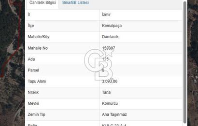 Kemalpaşa Damlacıkta Yatırımlık Tarla
