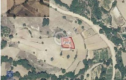 Muğla Menteşe Çatakbağyaka da uygun fiyatlı müstakil tapu 924 m2