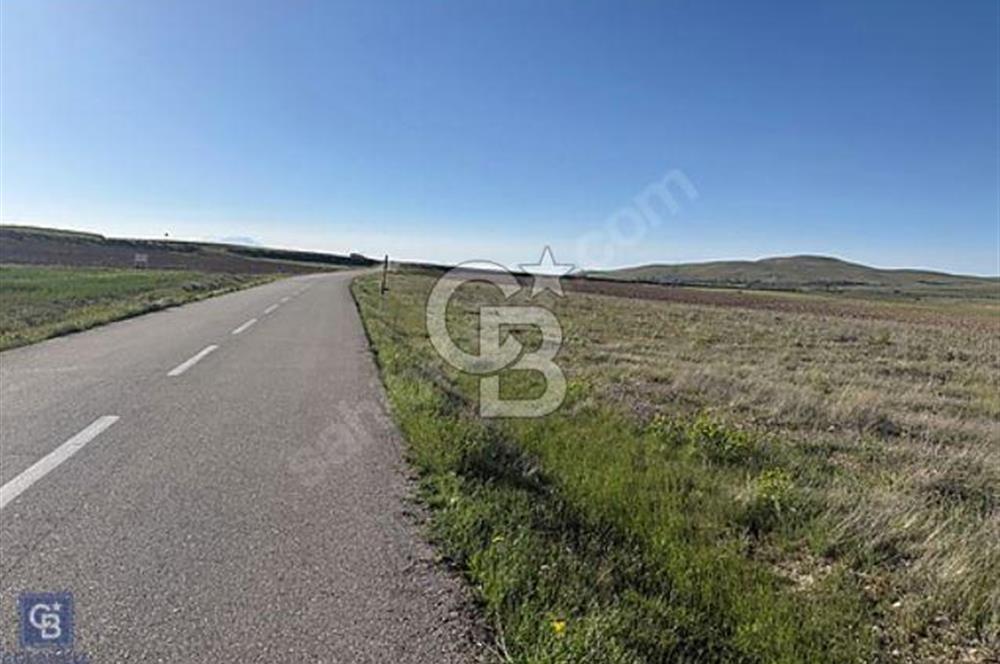 Tuşba Molla Kasım Mahallesinde 100.327 m2 Satılık Tarla !!