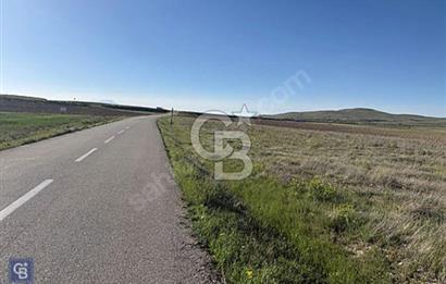 Tuşba Molla Kasım Mahallesinde 100.327 m2 Satılık Tarla !!