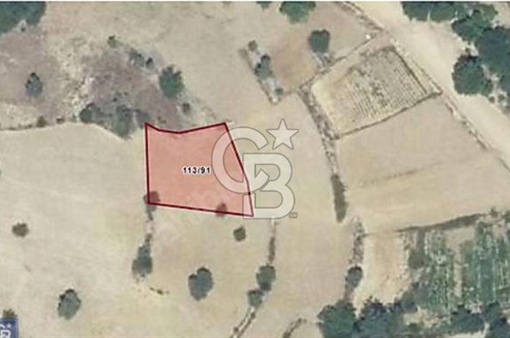 Muğla Menteşe Çatakbağyaka da uygun fiyatlı müstakil tapu 924 m2