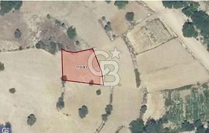 Muğla Menteşe Çatakbağyaka da uygun fiyatlı müstakil tapu 924 m2