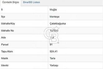 Muğla Menteşe Çatakbağyaka da uygun fiyatlı müstakil tapu 924 m2