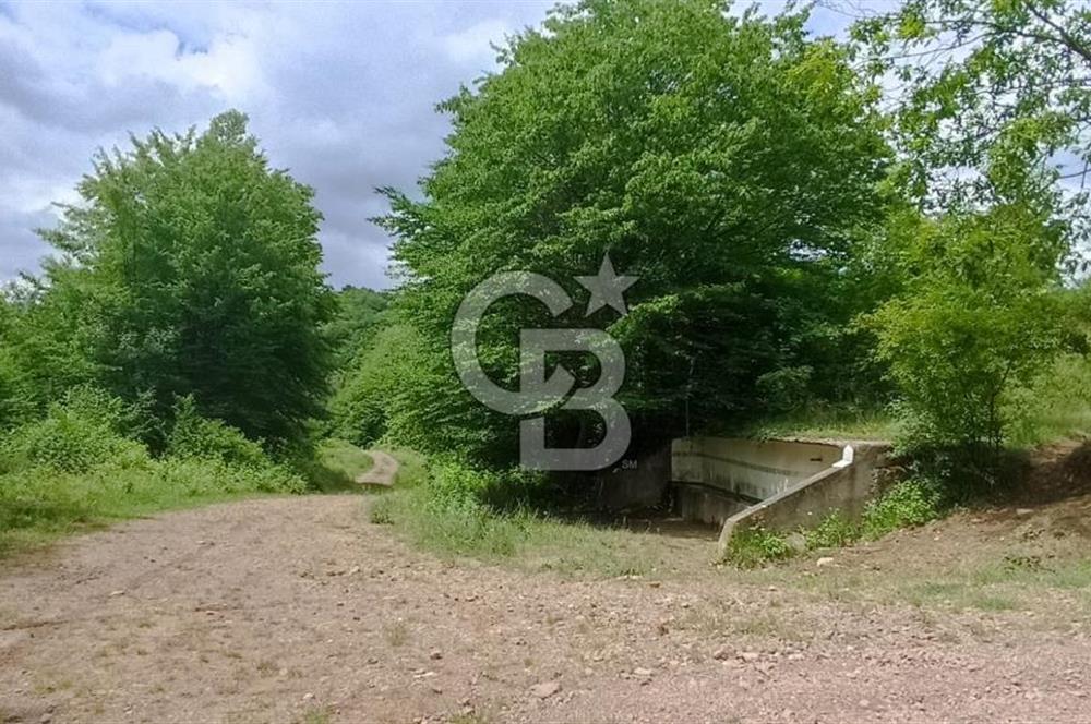 KOCAELİ İZMİT ZEYTİNBURNUN'DA 1835 m2 YOL CEPHE ARAZİ