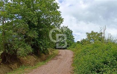 KOCAELİ İZMİT ZEYTİNBURNUN'DA 1835 m2 YOL CEPHE ARAZİ