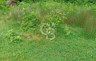 KOCAELİ İZMİT ZEYTİNBURNUN'DA 1835 m2 YOL CEPHE ARAZİ