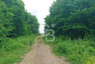 KOCAELİ İZMİT ZEYTİNBURNUN'DA 1835 m2 YOL CEPHE ARAZİ