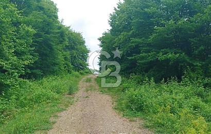 KOCAELİ İZMİT ZEYTİNBURNUN'DA 1835 m2 YOL CEPHE ARAZİ