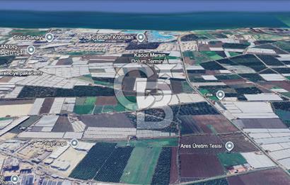 MERSİN AKDENİZ KAZANLI’DA 25.076 m² SATILIK ARAZİ