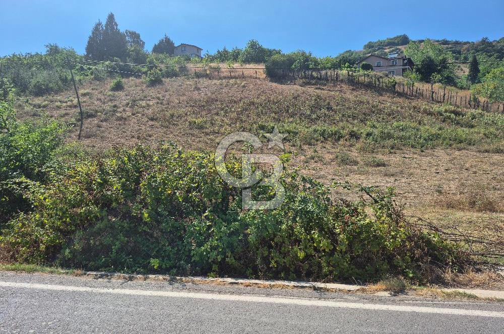 YALOVA ALTINOVA KARADERE SATILIK KÖYİÇİ ARSA!. (1192 M2)