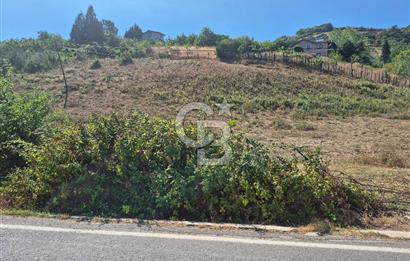 YALOVA ALTINOVA KARADERE SATILIK KÖYİÇİ ARSA!. (1192 M2)