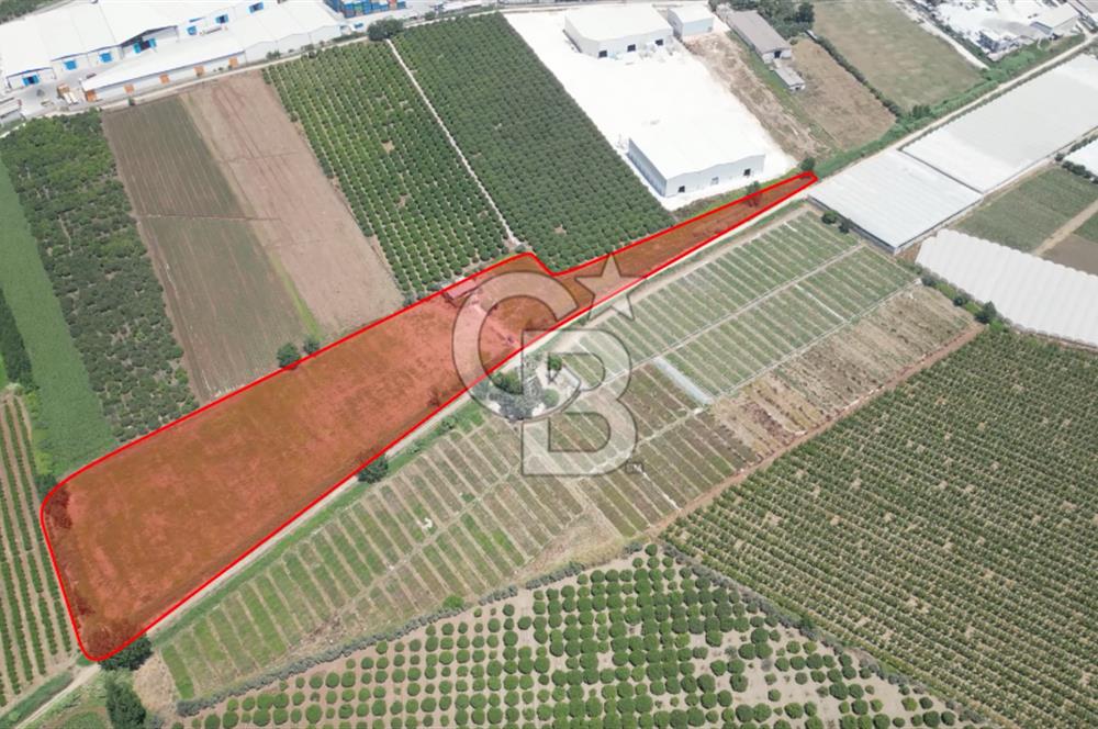 MERSİN AKDENİZ KAZANLI’DA 25.076 m² SATILIK ARAZİ