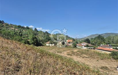 YALOVA ALTINOVA KARADERE SATILIK KÖYİÇİ ARSA!. (1192 M2)
