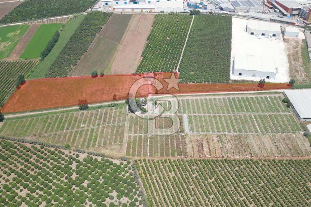 MERSİN AKDENİZ KAZANLI’DA 25.076 m² SATILIK ARAZİ