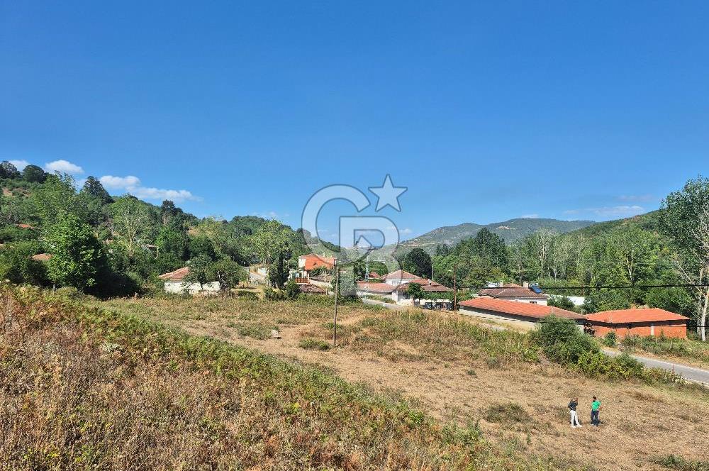 YALOVA ALTINOVA KARADERE SATILIK KÖYİÇİ ARSA!. (1192 M2)