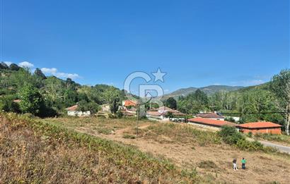 YALOVA ALTINOVA KARADERE SATILIK KÖYİÇİ ARSA!. (1192 M2)