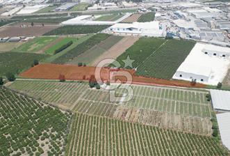 MERSİN AKDENİZ KAZANLI’DA 25.076 m² SATILIK ARAZİ