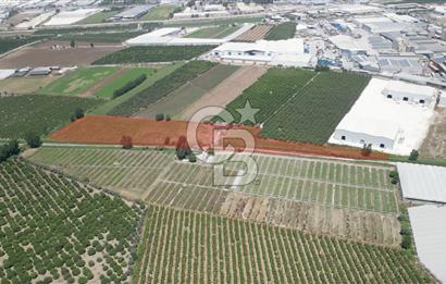 MERSİN AKDENİZ KAZANLI’DA 25.076 m² SATILIK ARAZİ
