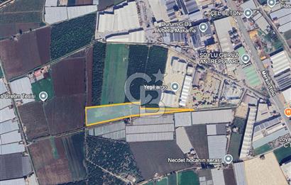 MERSİN AKDENİZ KAZANLI’DA 25.076 m² SATILIK ARAZİ