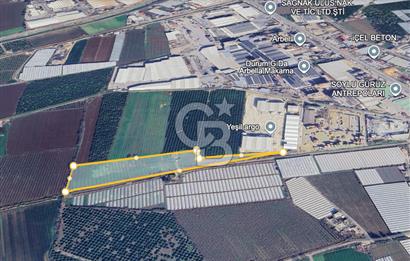 MERSİN AKDENİZ KAZANLI’DA 25.076 m² SATILIK ARAZİ
