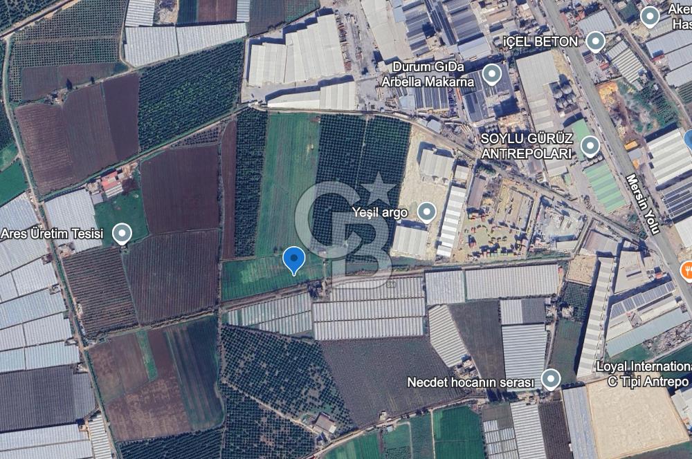 MERSİN AKDENİZ KAZANLI’DA 25.076 m² SATILIK ARAZİ