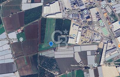 MERSİN AKDENİZ KAZANLI’DA 25.076 m² SATILIK ARAZİ